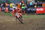 ADAC MX Masters 2008 4185646