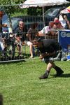 12th Highland Games 4292253