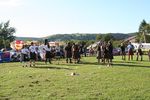 12th Highland Games 4292378