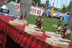 12th Highland Games 4292448