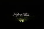 Night in White 2008