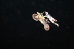 FMX Show in Grosshartmannsdorf 4304318