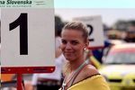 Cena Slovenska 4399227