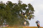 Moto-Cross Staatsmeisterschaft 4399469