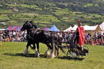 Südtiroler Ritterspiele Schluderns 4405894