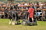 Südtiroler Ritterspiele Schluderns 4405898