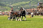 Südtiroler Ritterspiele Schluderns 4405899