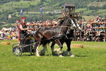 Südtiroler Ritterspiele Schluderns 4405900