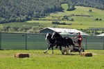 Südtiroler Ritterspiele Schluderns 4405902