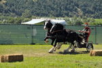 Südtiroler Ritterspiele Schluderns 4405903