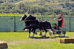 Südtiroler Ritterspiele Schluderns 4405907