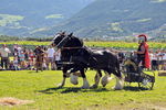 Südtiroler Ritterspiele Schluderns 4405908