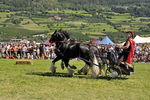 Südtiroler Ritterspiele Schluderns 4405909