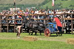 Südtiroler Ritterspiele Schluderns 4405919