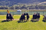 Südtiroler Ritterspiele Schluderns 4406126