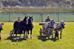 Südtiroler Ritterspiele Schluderns 4406128