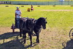 Südtiroler Ritterspiele Schluderns 4406131