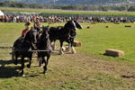 Südtiroler Ritterspiele Schluderns 4406132