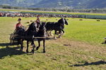 Südtiroler Ritterspiele Schluderns 4406133