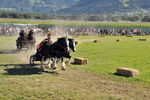 Südtiroler Ritterspiele Schluderns 4406138