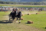 Südtiroler Ritterspiele Schluderns 4406139