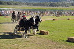 Südtiroler Ritterspiele Schluderns 4406140