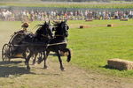 Südtiroler Ritterspiele Schluderns 4406141