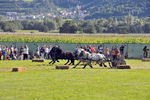 Südtiroler Ritterspiele Schluderns 4406153