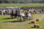 Südtiroler Ritterspiele Schluderns 4406154