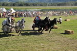 Südtiroler Ritterspiele Schluderns 4406159