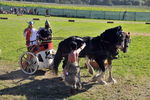 Südtiroler Ritterspiele Schluderns 4406164