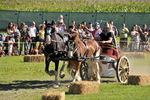 Südtiroler Ritterspiele Schluderns 4406171