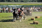 Südtiroler Ritterspiele Schluderns 4406179