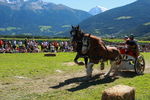 Südtiroler Ritterspiele Schluderns 4441815