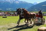 Südtiroler Ritterspiele Schluderns 4441816