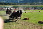 Südtiroler Ritterspiele Schluderns 4441905