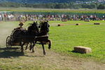 Südtiroler Ritterspiele Schluderns 4441909