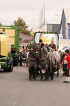 Festumzug mit Gottesdienst 4466263