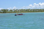 Tour 2008 Dom.Rep. Punta Cana - Island Saona 4556107