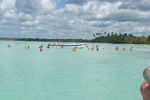 Tour 2008 Dom.Rep. Punta Cana - Island Saona 4556148