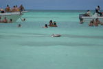 Tour 2008 Dom.Rep. Punta Cana - Island Saona 4556168