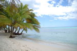 Tour 2008 Dom.Rep. Punta Cana - Island Saona 4556170