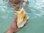 Tour 2008 Dom.Rep. Punta Cana - Island Saona 4556263