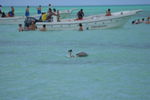 Tour 2008 Dom.Rep. Punta Cana - Island Saona 4556291