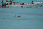 Tour 2008 Dom.Rep. Punta Cana - Island Saona 4556292