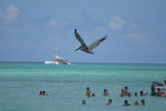 Tour 2008 Dom.Rep. Punta Cana - Island Saona 4556293