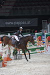 Pappas Amadeus Horse Indoors