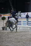 Pappas Amadeus Horse Indoors 4595175
