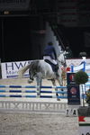 Pappas Amadeus Horse Indoors 4595176