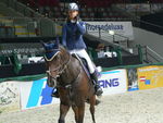 Pappas Amadeus Horse Indoors 4595415